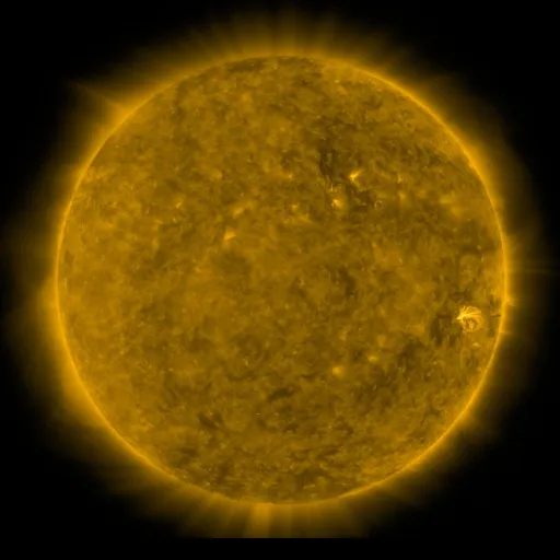 Solar Corona