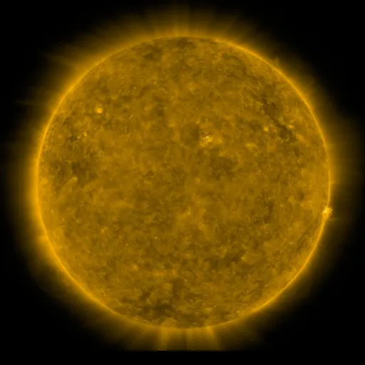 Solar Corona