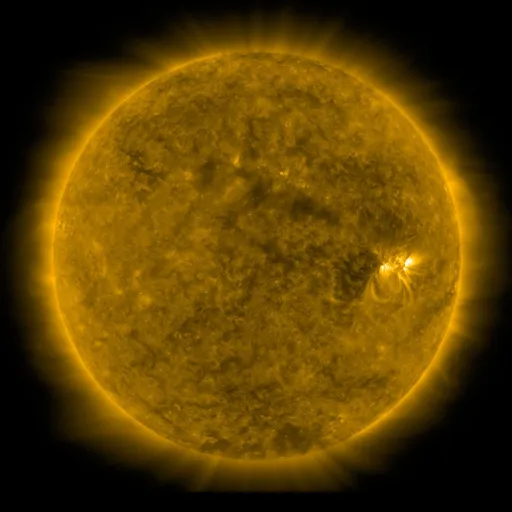 Solar Corona