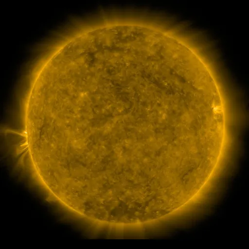Solar Corona