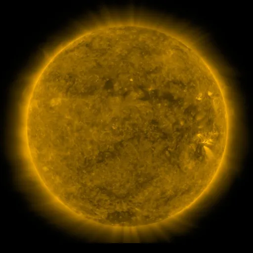 Solar Corona