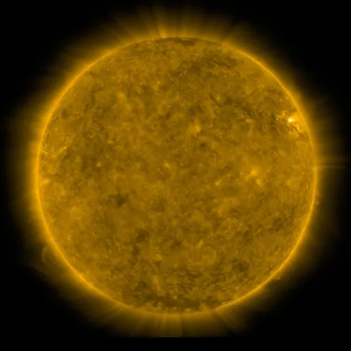 Solar Corona