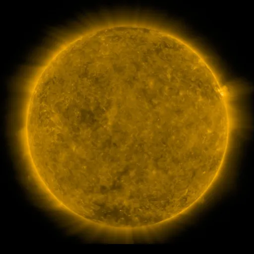 Solar Corona