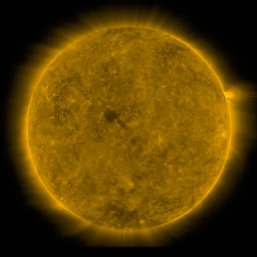 Solar Corona