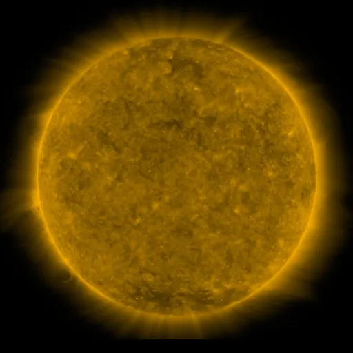Solar Corona