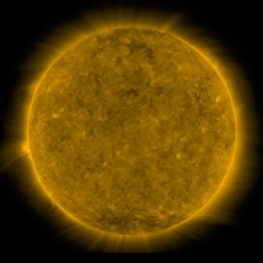 Solar Corona