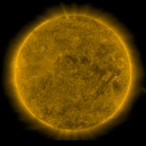 Solar Corona