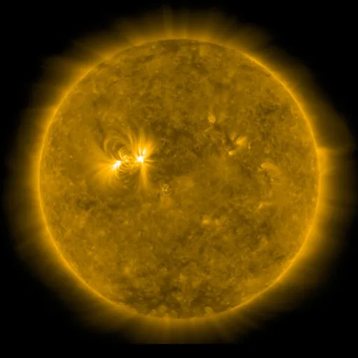 Solar Corona