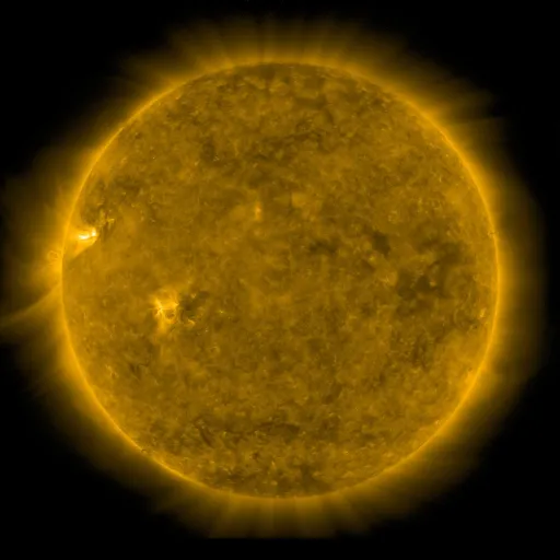 Solar Corona