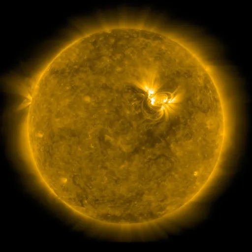 Solar Corona