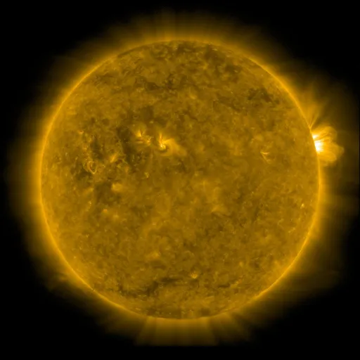 Solar Corona