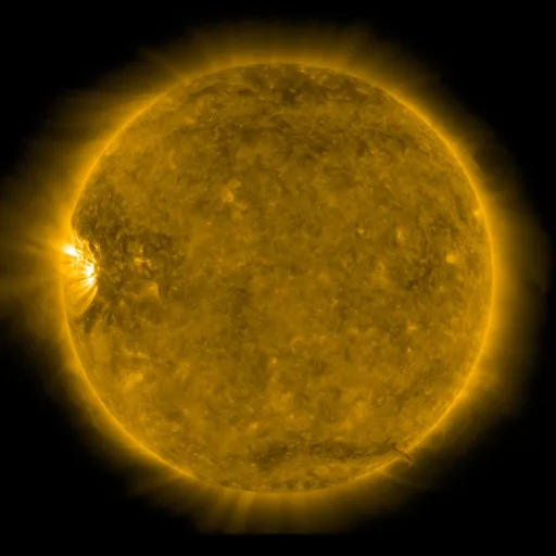 Solar Corona