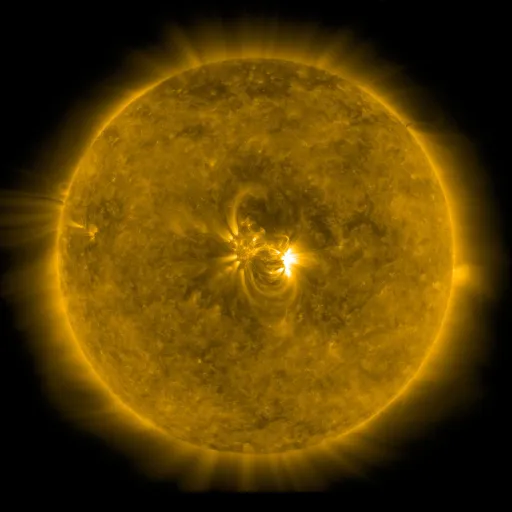 Solar Corona