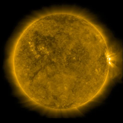 Solar Corona