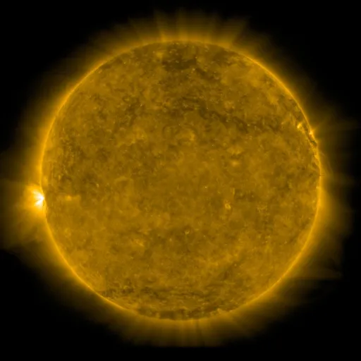 Solar Corona