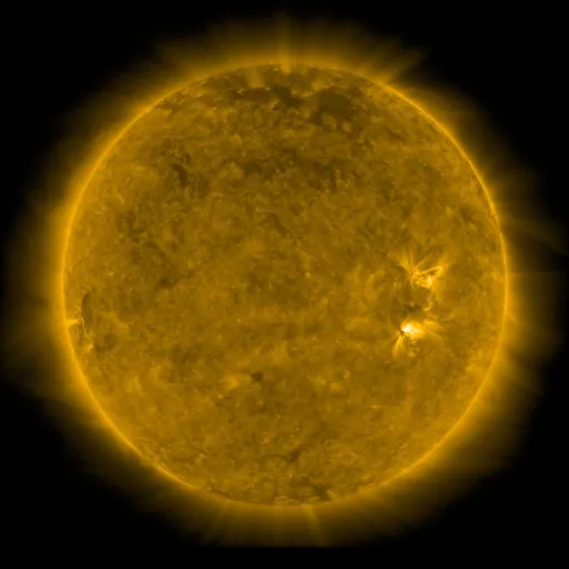 Solar Corona