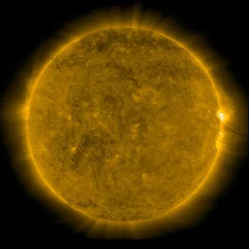 Solar Corona