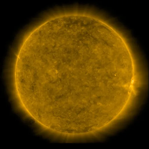 Solar Corona