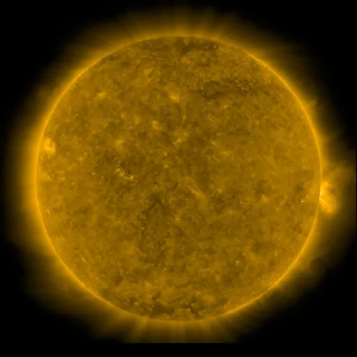 Solar Corona