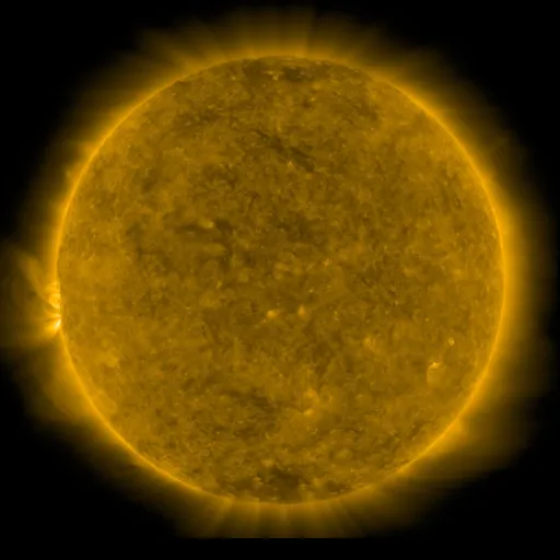Solar Corona