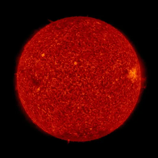Solar transition region