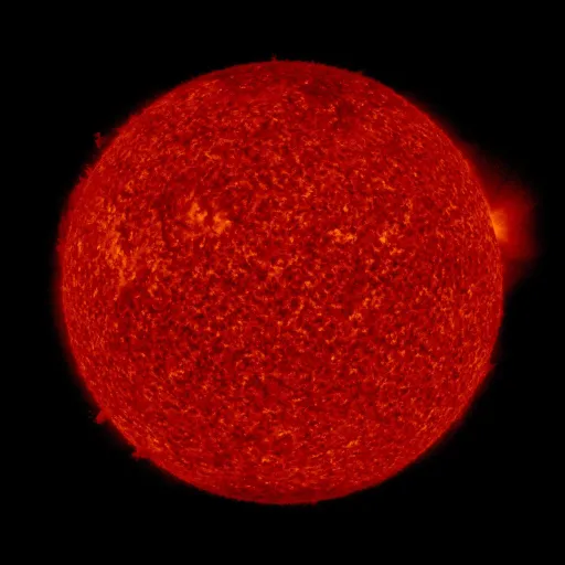 Solar transition region