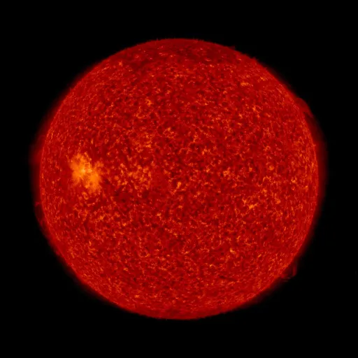 Solar transition region