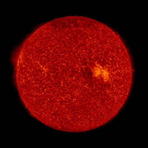 Solar transition region