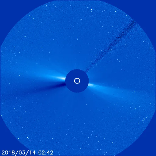 Outer Solar Corona