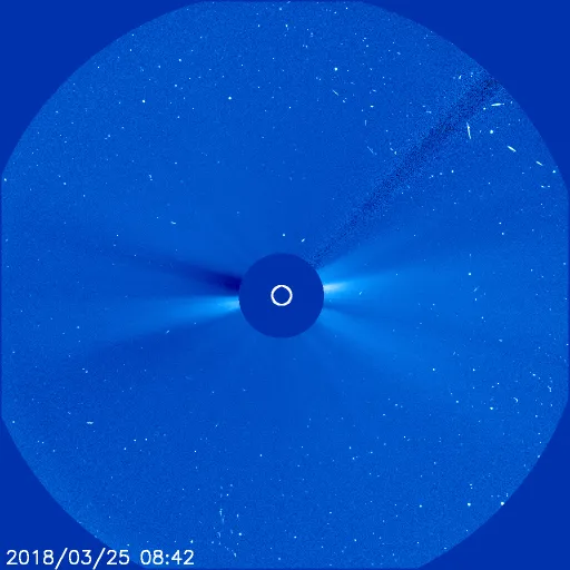 Outer Solar Corona