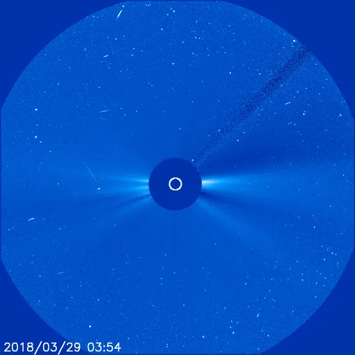Outer Solar Corona