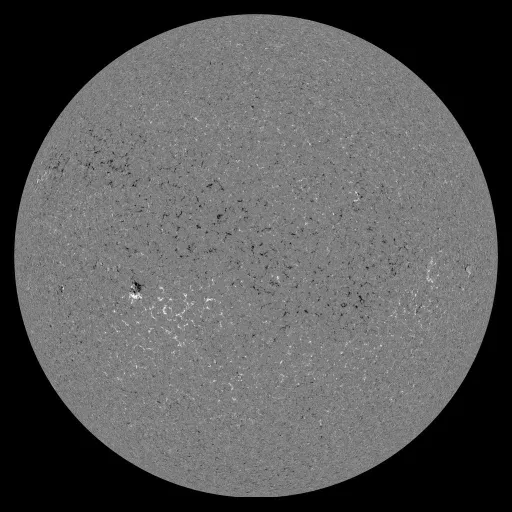 Solar Magnetic Fields