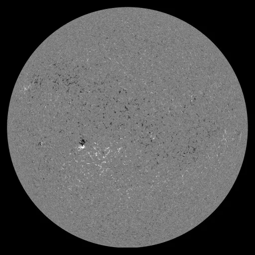 Solar Magnetic Fields