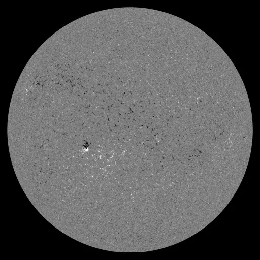 Solar Magnetic Fields