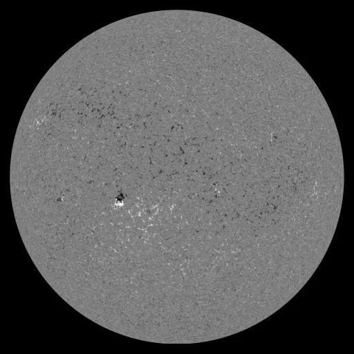 Solar Magnetic Fields