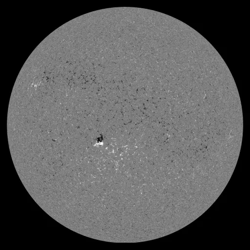 Solar Magnetic Fields