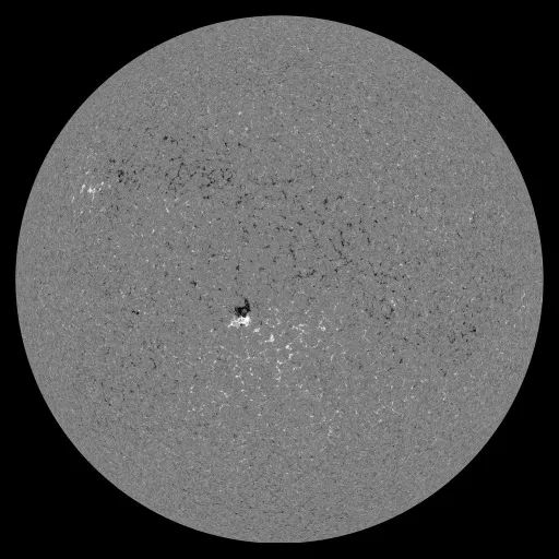 Solar Magnetic Fields