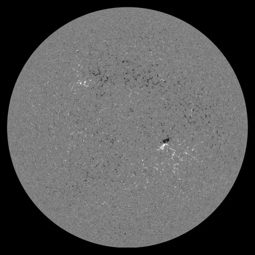 Solar Magnetic Fields