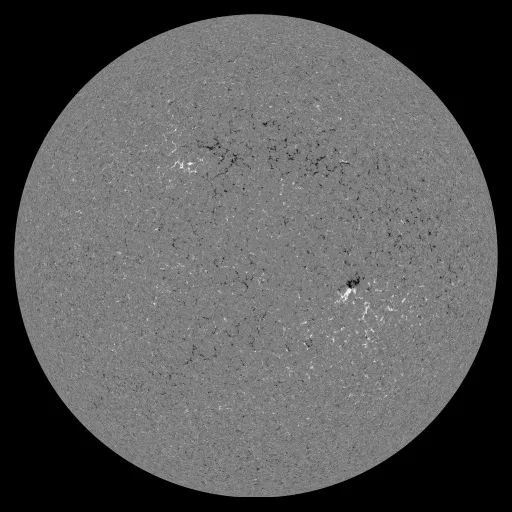 Solar Magnetic Fields