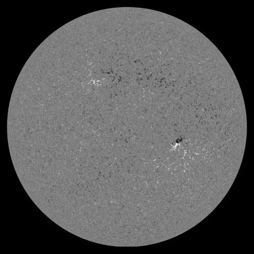 Solar Magnetic Fields