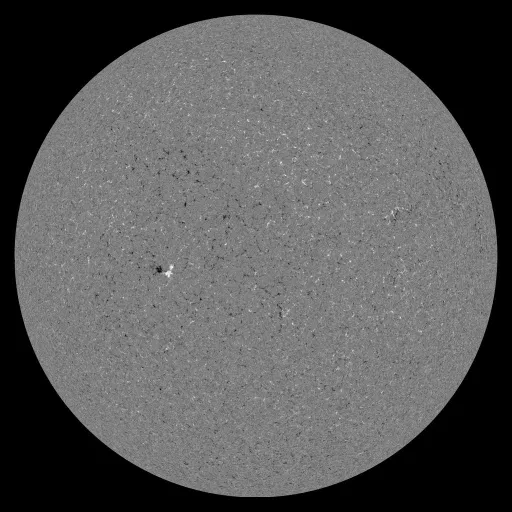Solar Magnetic Fields