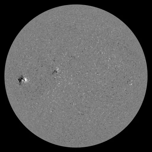 Solar Magnetic Fields