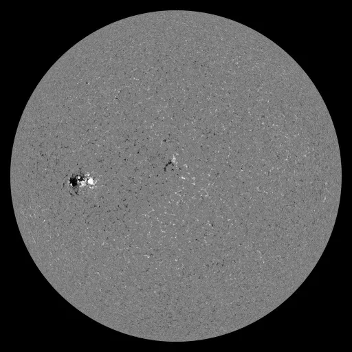 Solar Magnetic Fields