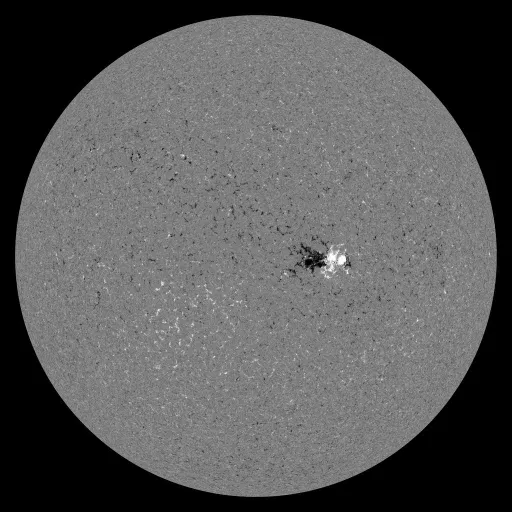 Solar Magnetic Fields