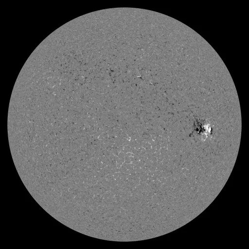 Solar Magnetic Fields