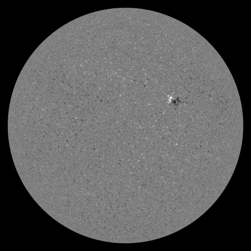 Solar Magnetic Fields
