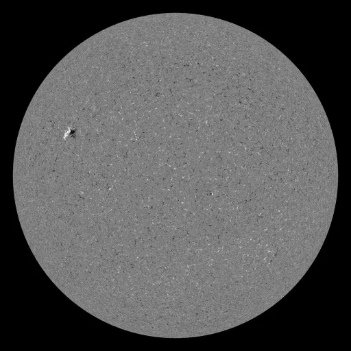 Solar Magnetic Fields