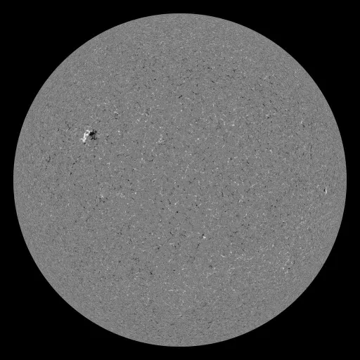 Solar Magnetic Fields