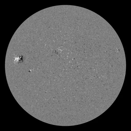 Solar Magnetic Fields