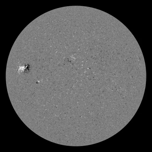Solar Magnetic Fields